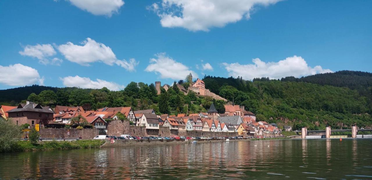 Appartement Schlossberg, Gasthaus Hirsch Hirschhorn Exteriér fotografie
